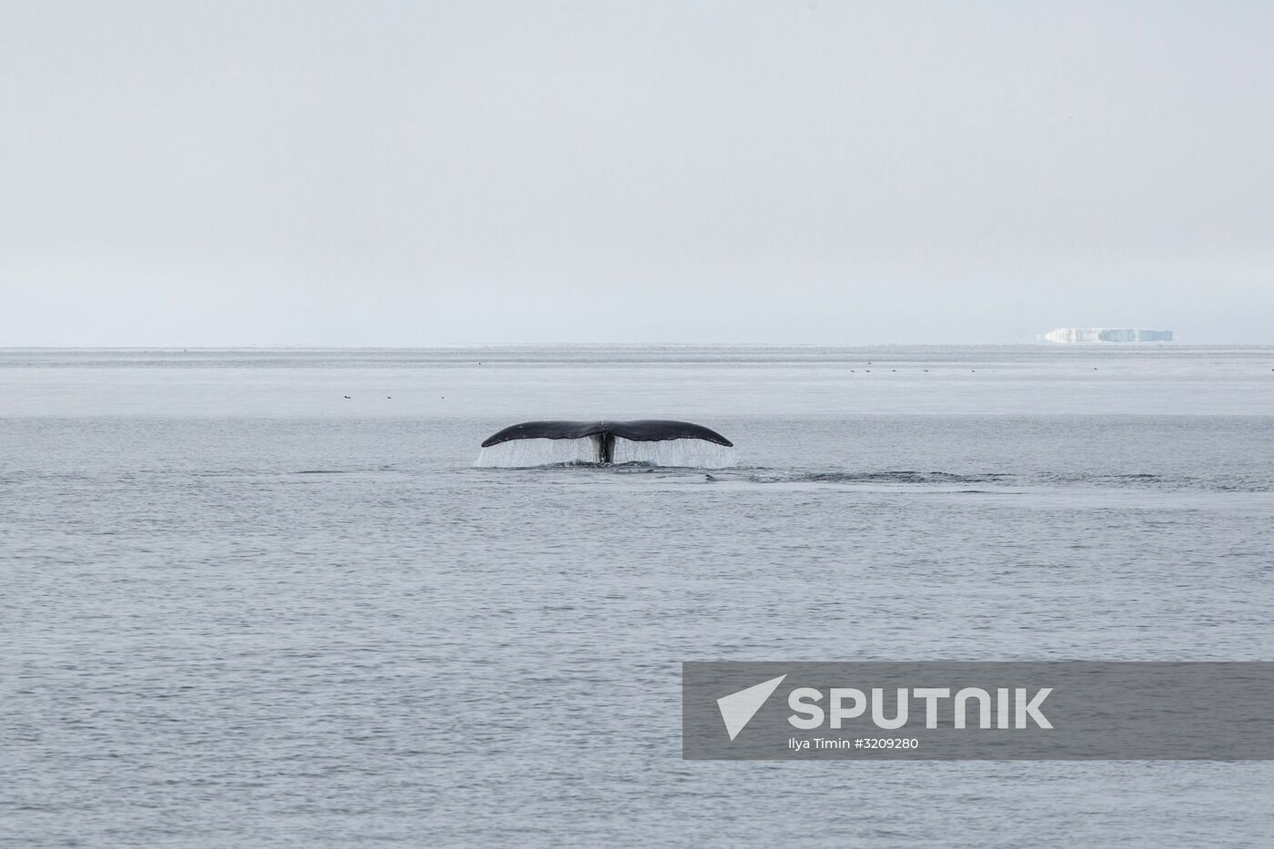 Franz Josef Land Archipelago