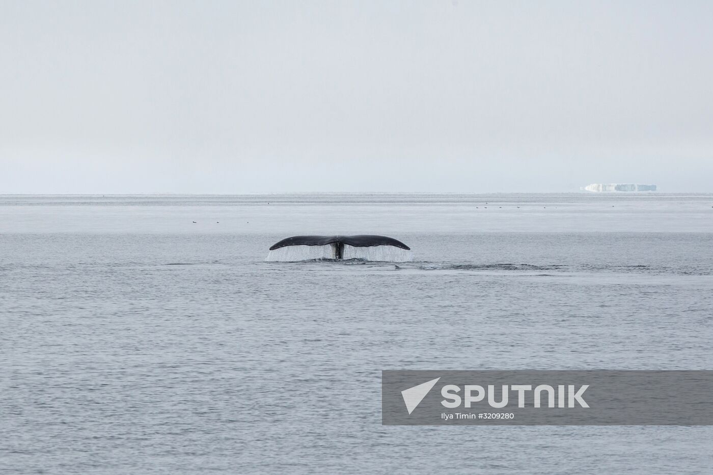 Franz Josef Land Archipelago