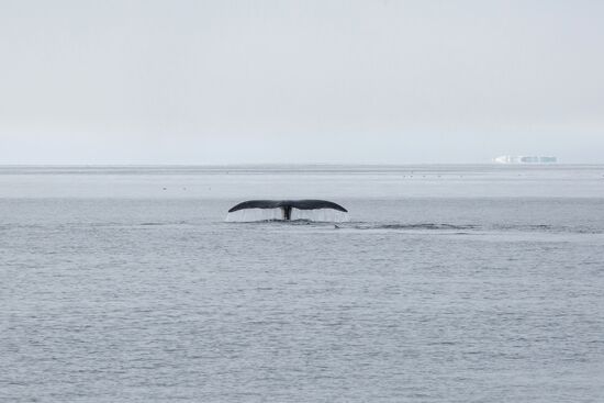 Franz Josef Land Archipelago