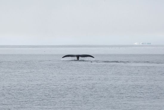 Franz Josef Land Archipelago