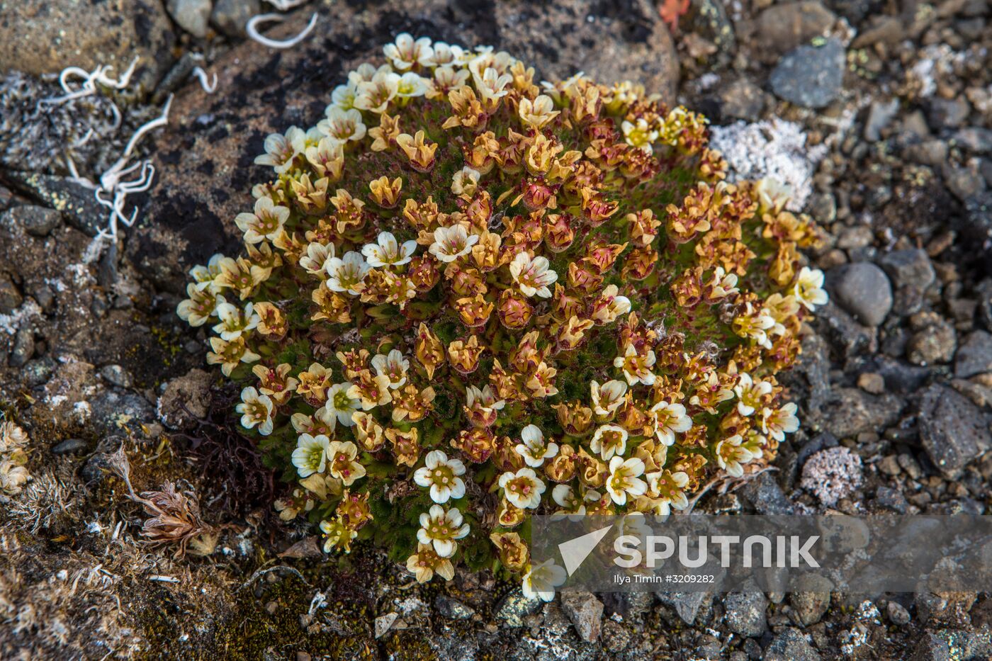 Franz Josef Land Archipelago