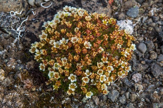 Franz Josef Land Archipelago