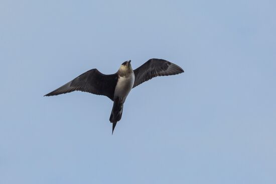 Franz Josef Land Archipelago