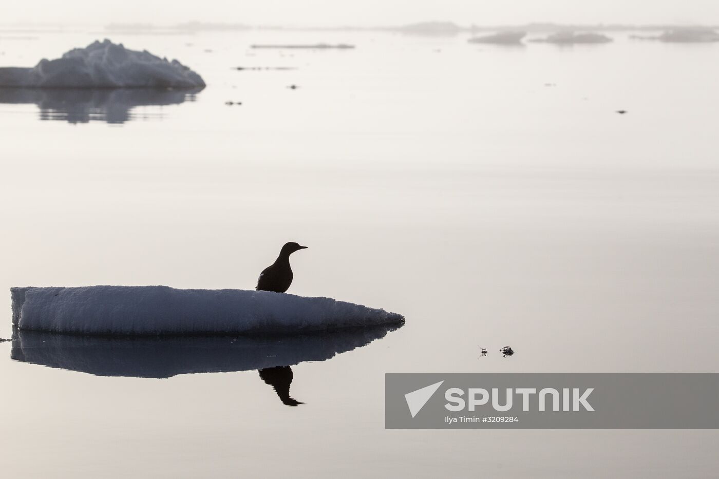 Franz Josef Land Archipelago