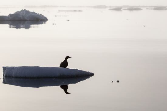 Franz Josef Land Archipelago