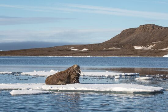 Franz Josef Land Archipelago