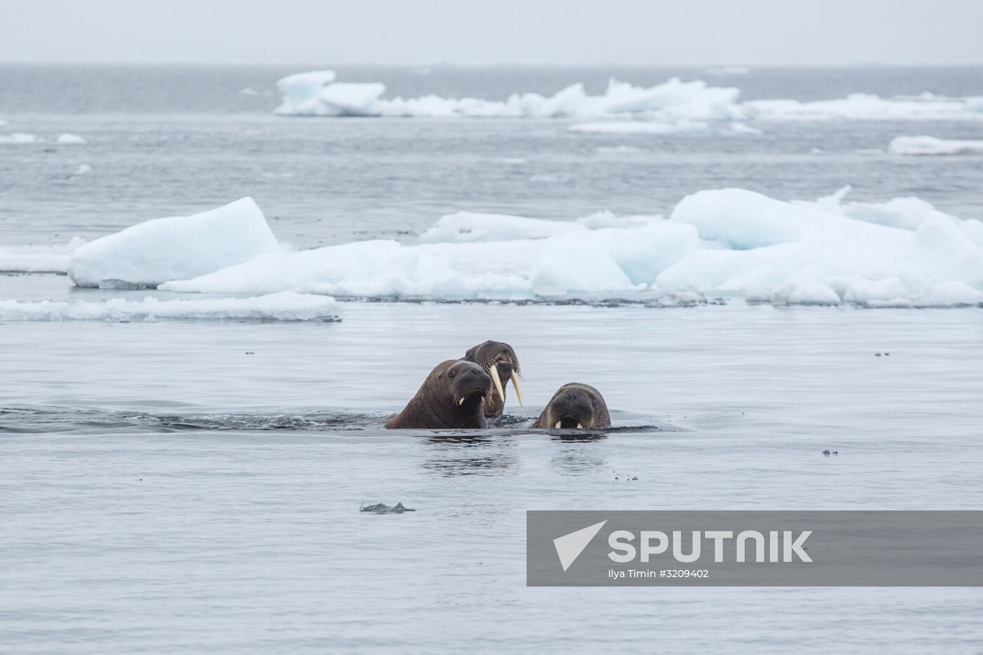 Franz Josef Land Archipelago