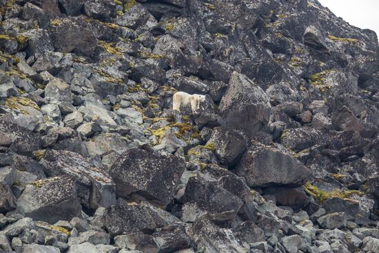 Franz Josef Land Archipelago