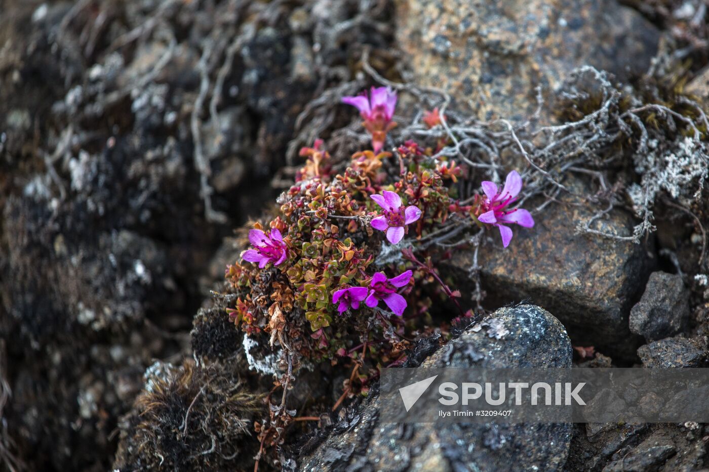 Franz Josef Land Archipelago