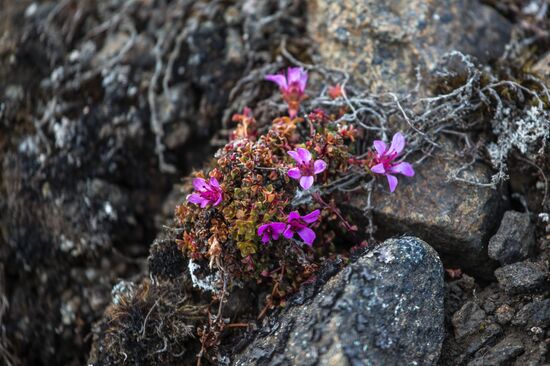 Franz Josef Land Archipelago