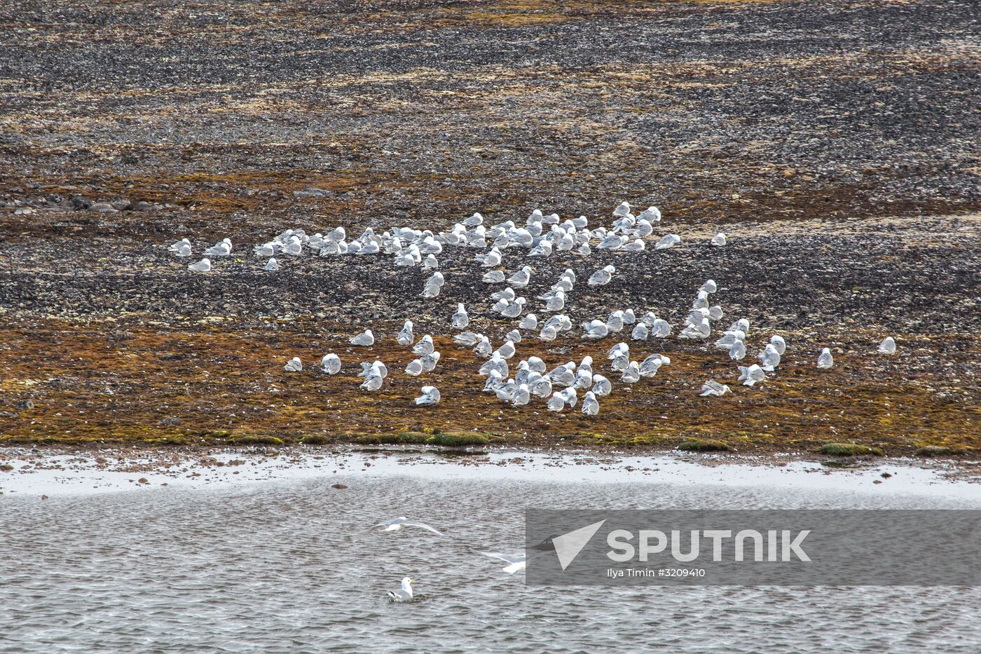 Franz Josef Land Archipelago