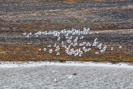 Franz Josef Land Archipelago