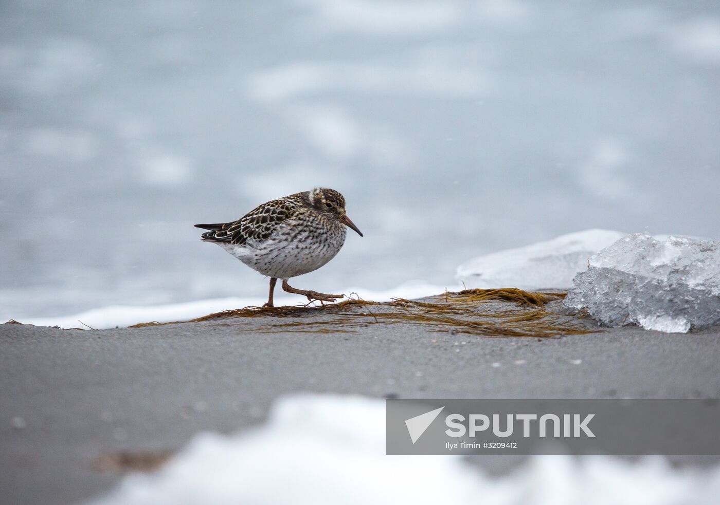 Franz Josef Land Archipelago