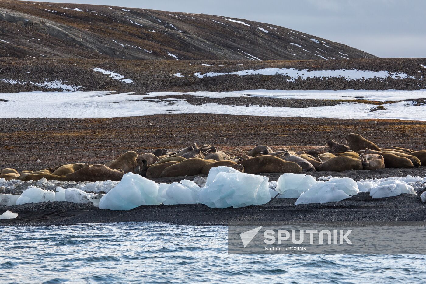 Franz Josef Land Archipelago