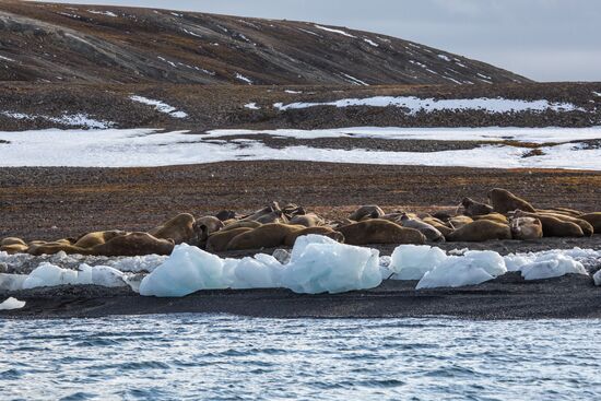 Franz Josef Land Archipelago