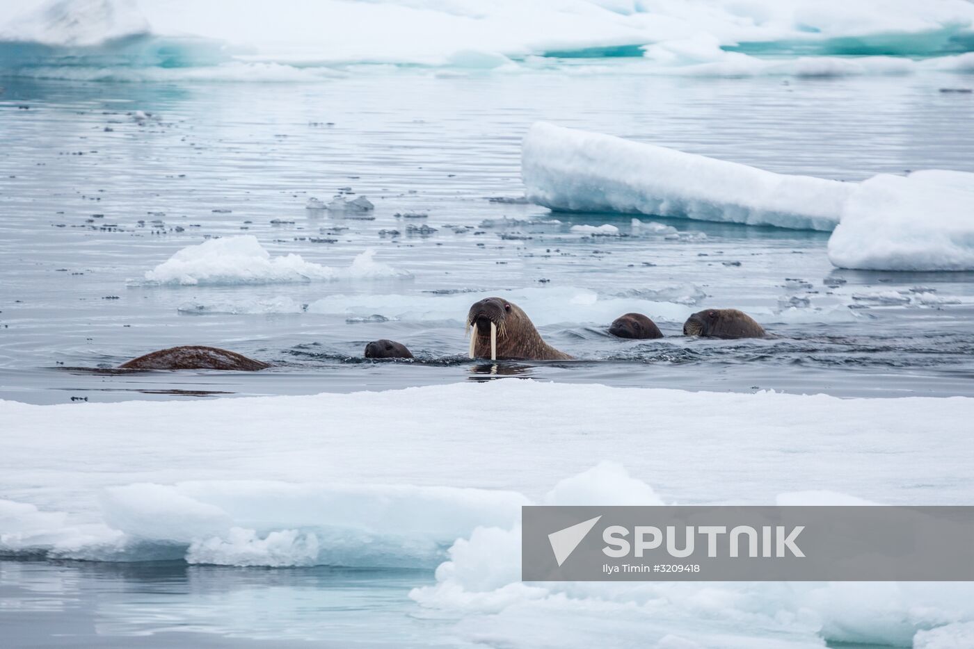 Franz Josef Land Archipelago