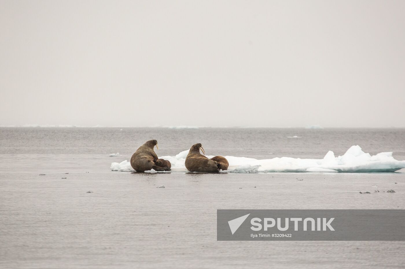 Franz Josef Land Archipelago