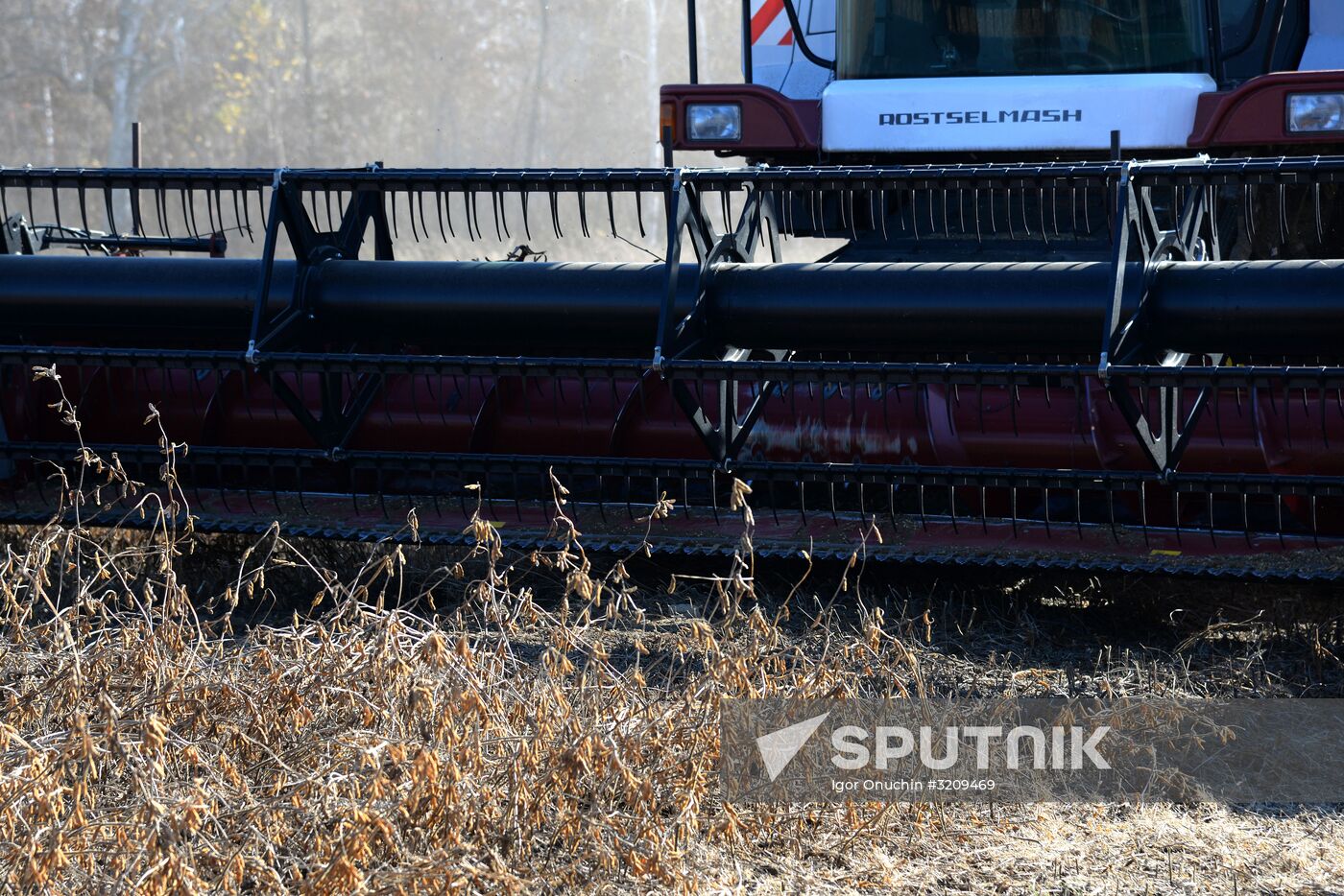 Harvesting soybeans in Khabarovsk Territory