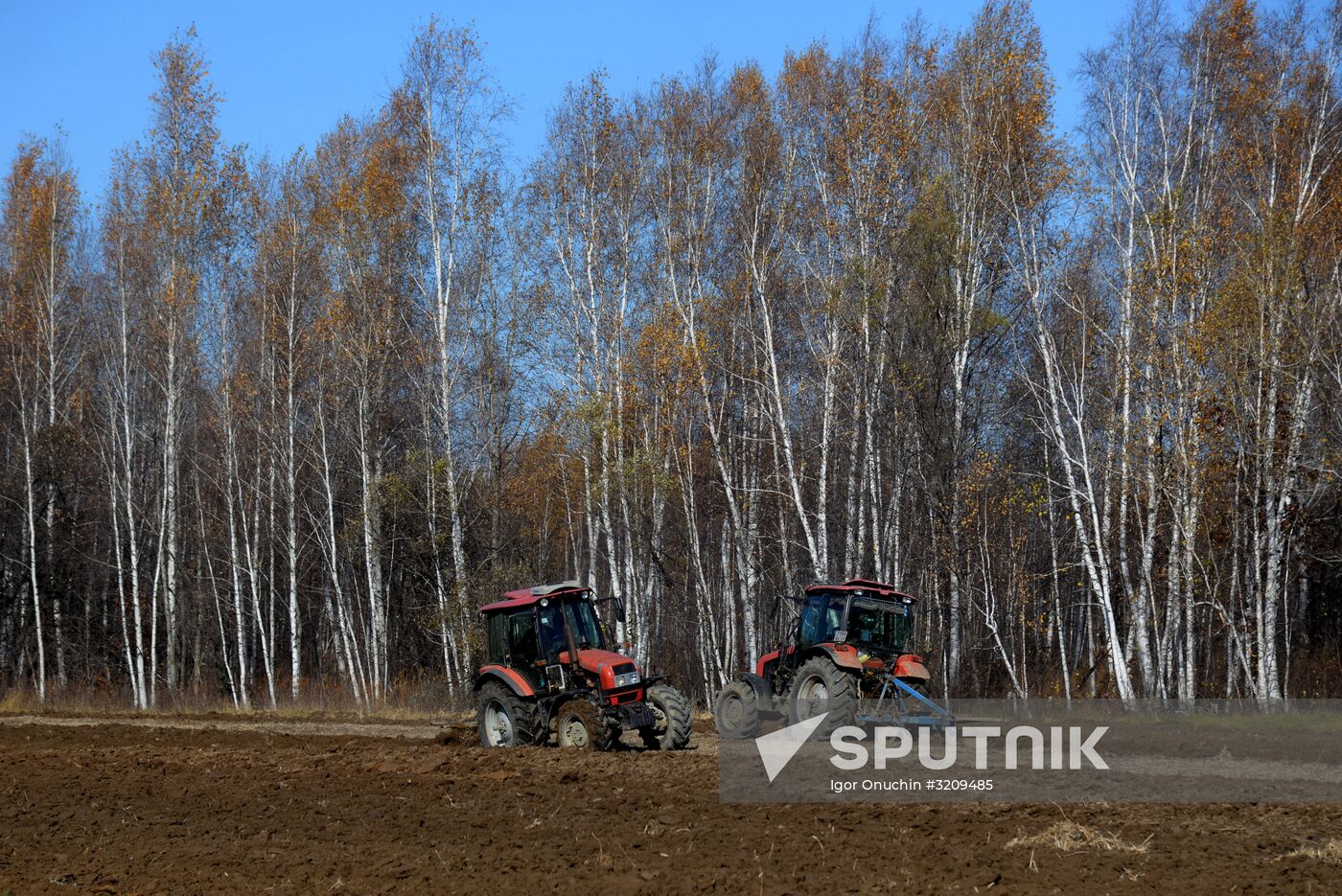 Harvesting soybeans in Khabarovsk Territory