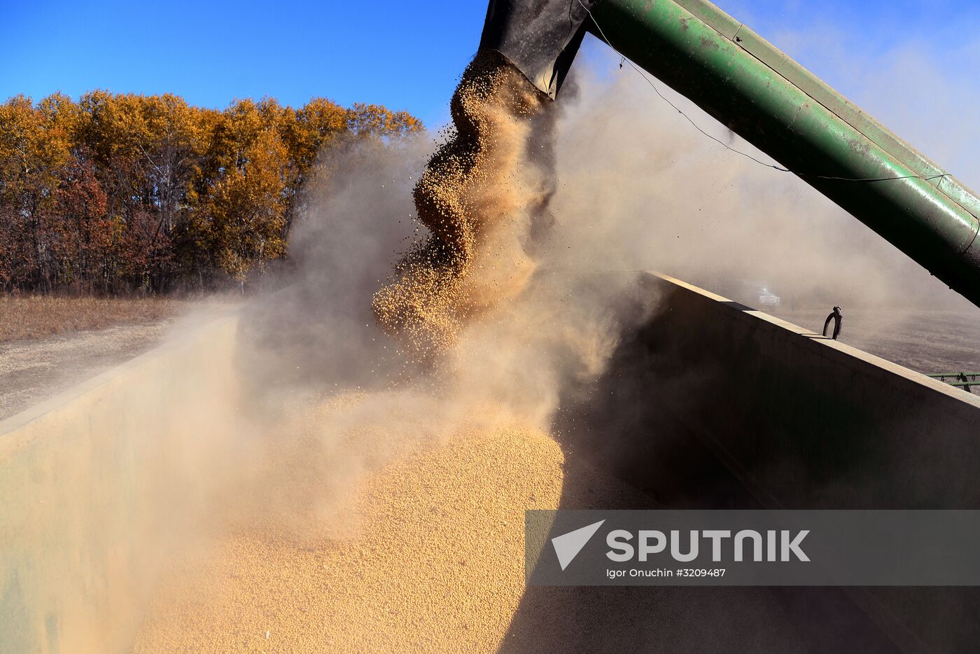 Harvesting soybeans in Khabarovsk Territory