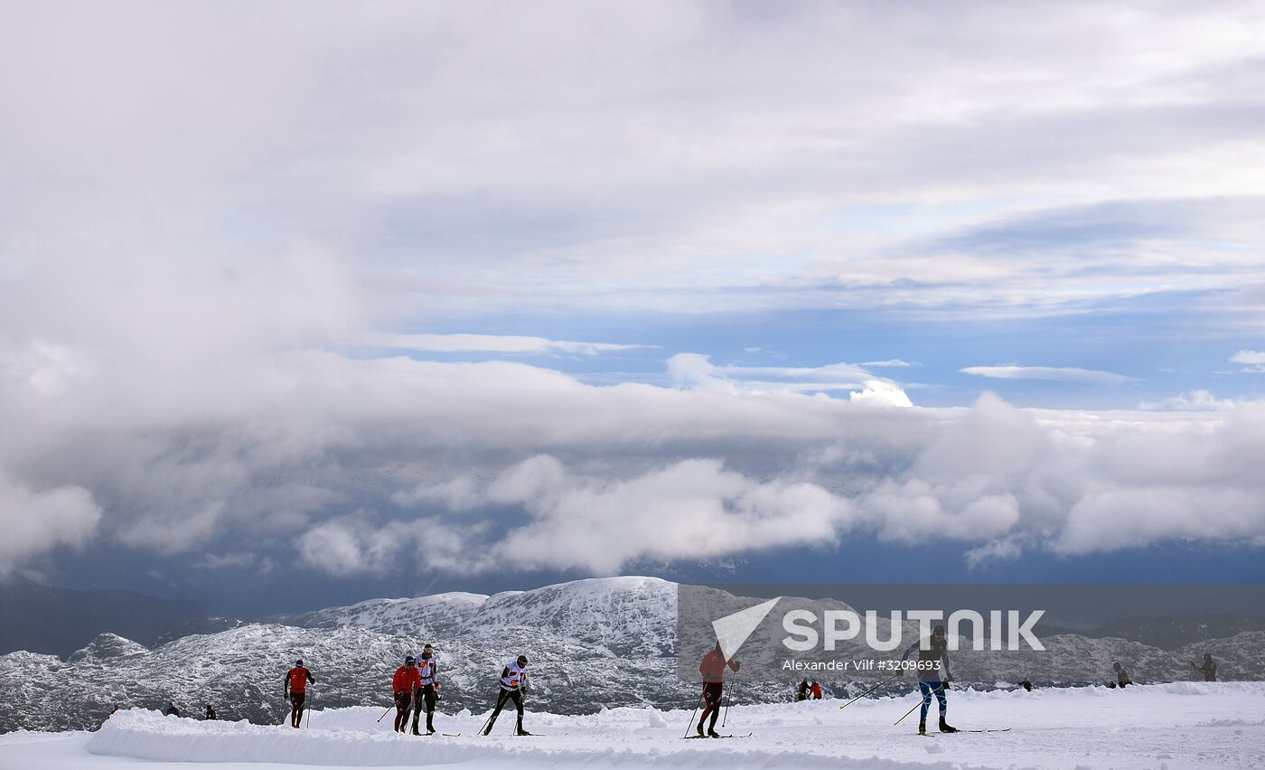 Cross-country skiing. Training session of Russia's national team