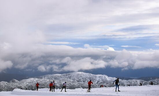 Cross-country skiing. Training session of Russia's national team