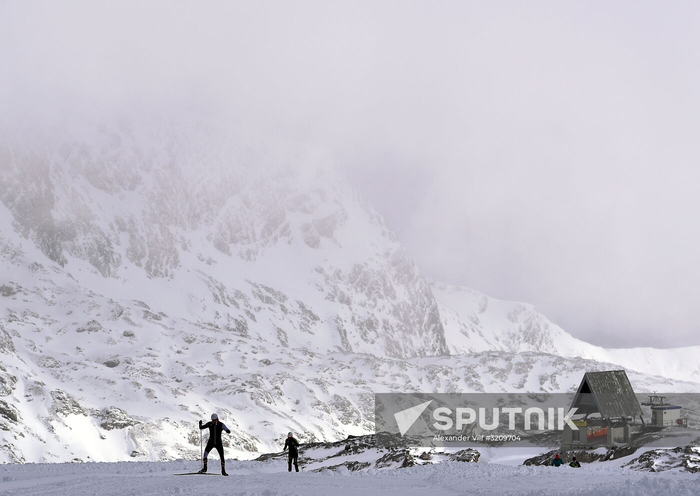 Cross-country skiing. Training session of Russia's national team