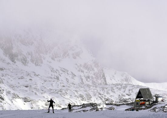 Cross-country skiing. Training session of Russia's national team