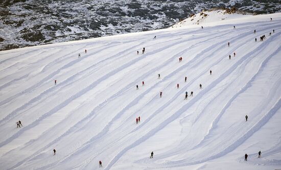 Skiing race. Training session of Russia's national team