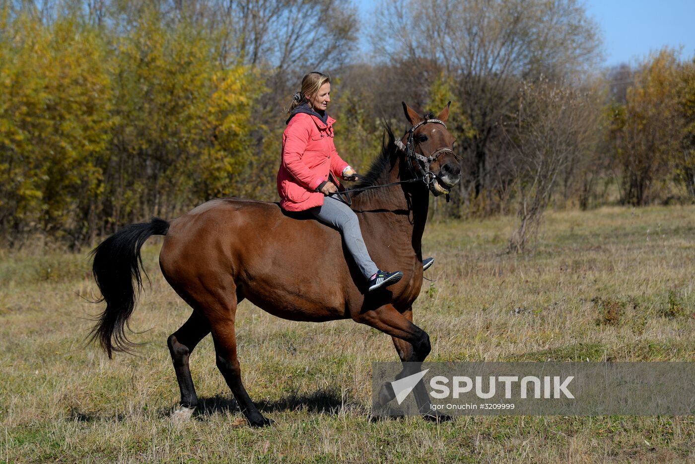 Horse breeding on Far Eastern Hectare land in Khabarovsk Territory
