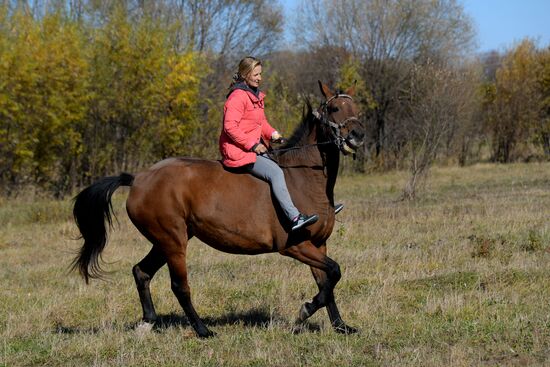 Horse breeding on Far Eastern Hectare land in Khabarovsk Territory