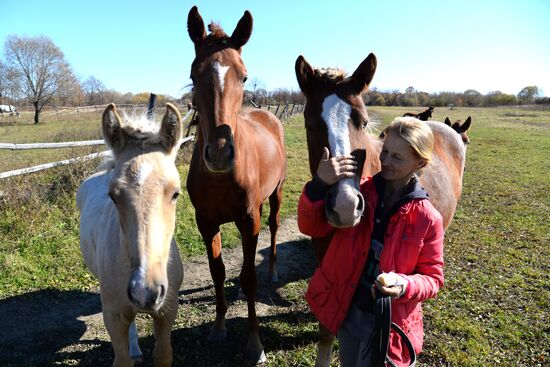 Horse breeding on Far Eastern Hectare land in Khabarovsk Territory
