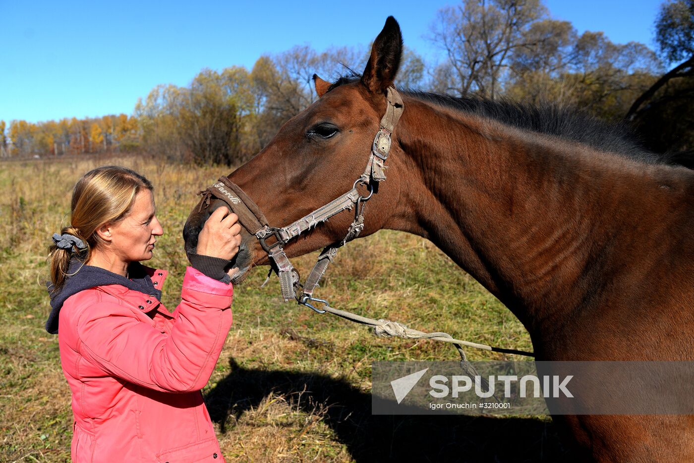 Horse breeding on Far Eastern Hectare land in Khabarovsk Territory