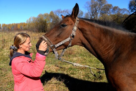Horse breeding on Far Eastern Hectare land in Khabarovsk Territory