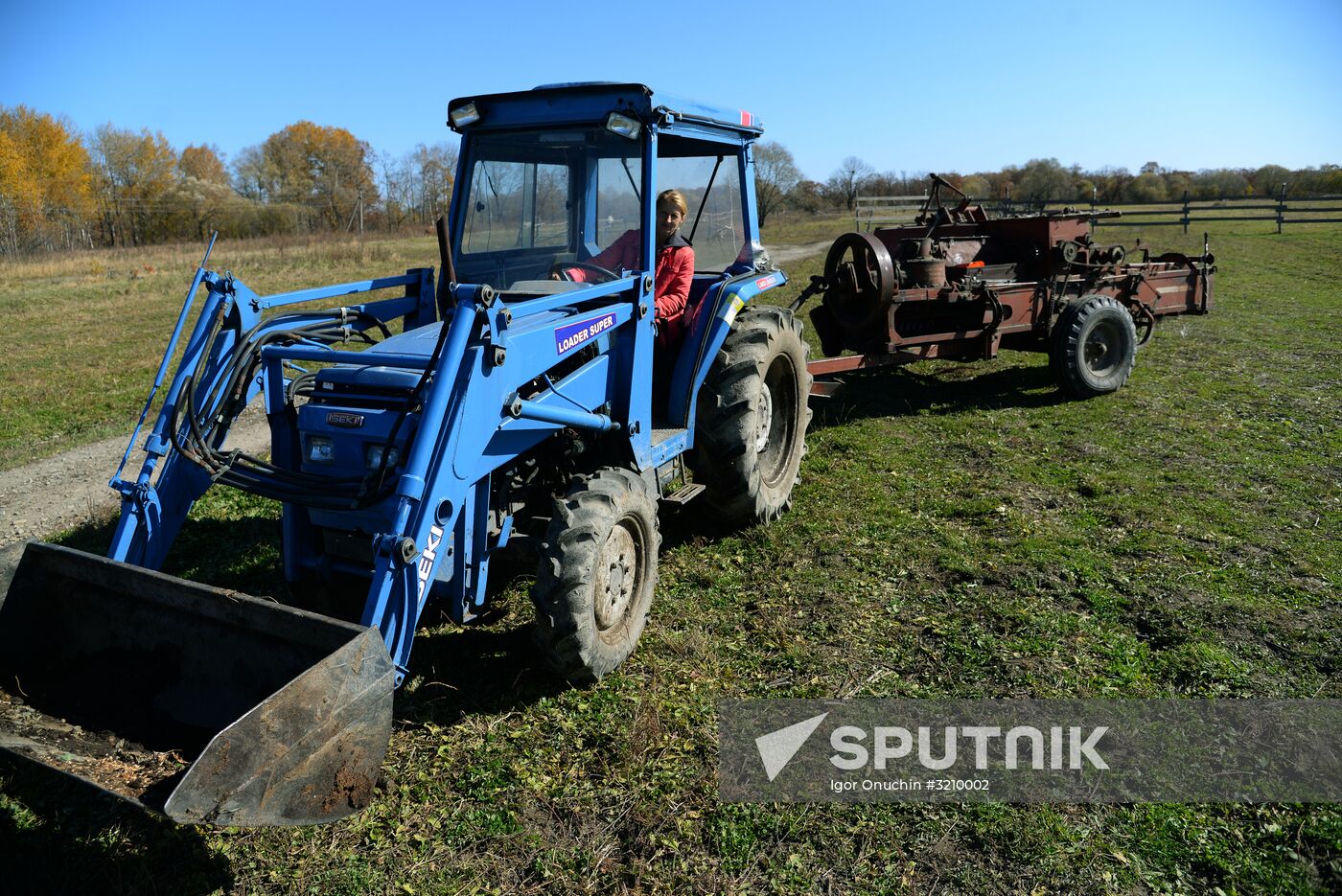 Horse breeding on Far Eastern Hectare land in Khabarovsk Territory