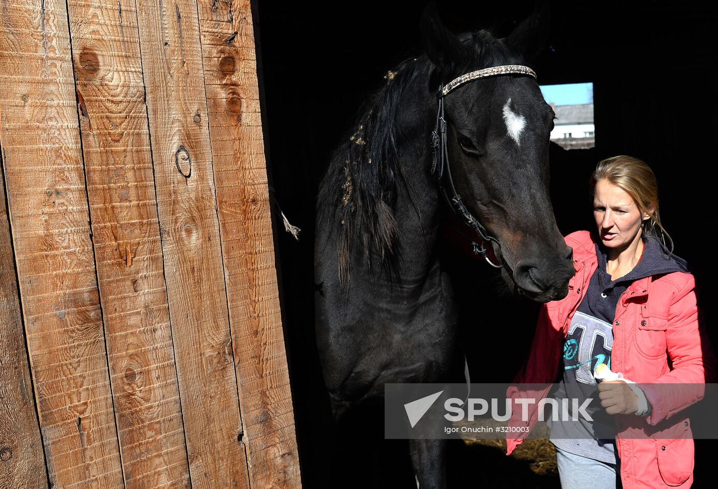 Horse breeding on Far Eastern Hectare land in Khabarovsk Territory