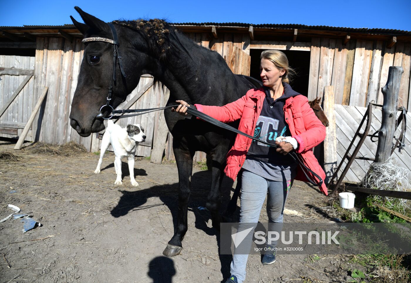 Horse breeding on Far Eastern Hectare land in Khabarovsk Territory