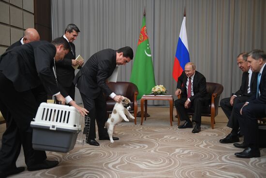 President Vladimir Putin meets with President of Turkmenistan Gurbanguly Berdimuhamedow