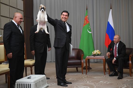 President Vladimir Putin meets with President of Turkmenistan Gurbanguly Berdimuhamedow