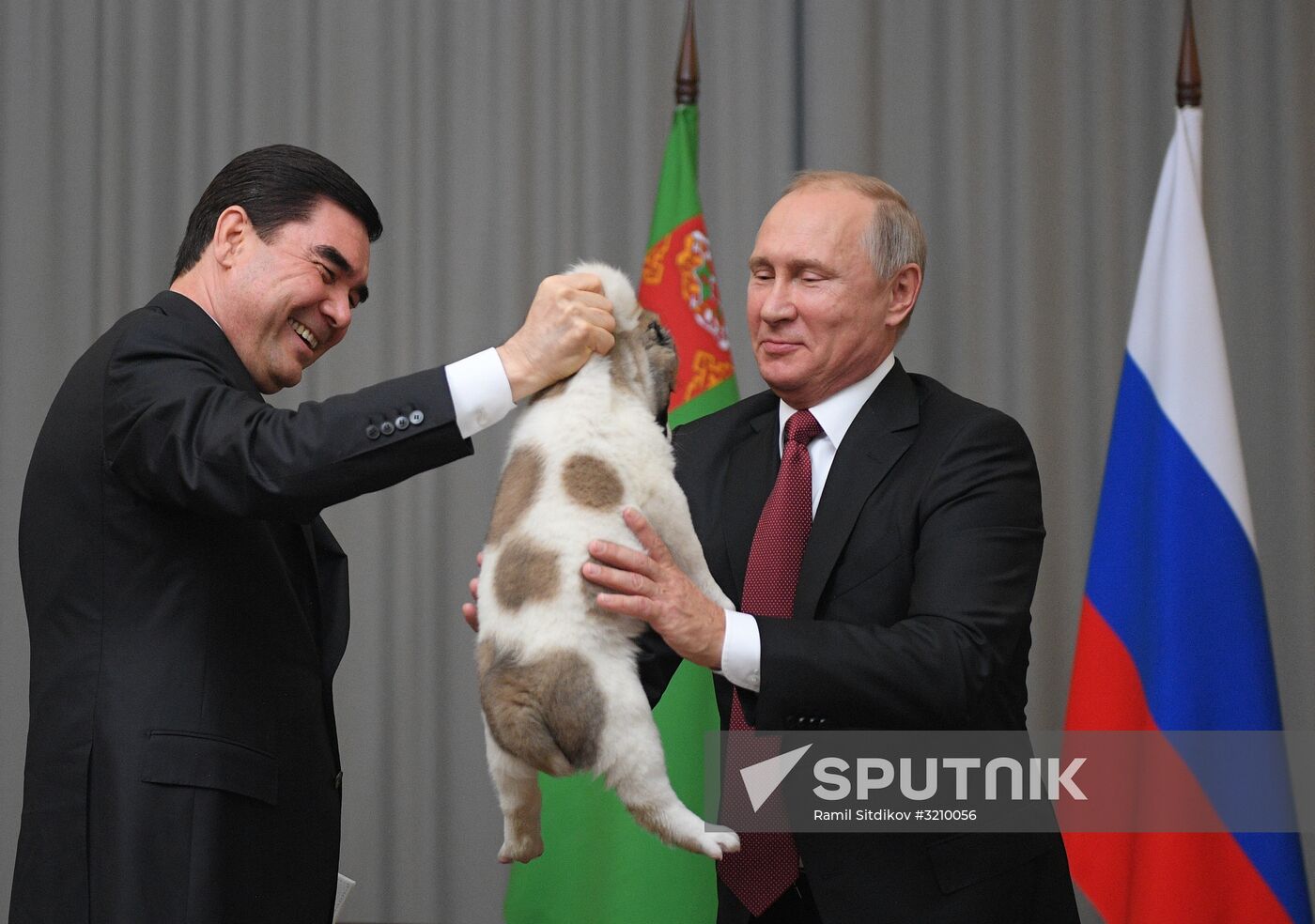 President Vladimir Putin meets with President of Turkmenistan Gurbanguly Berdimuhamedow