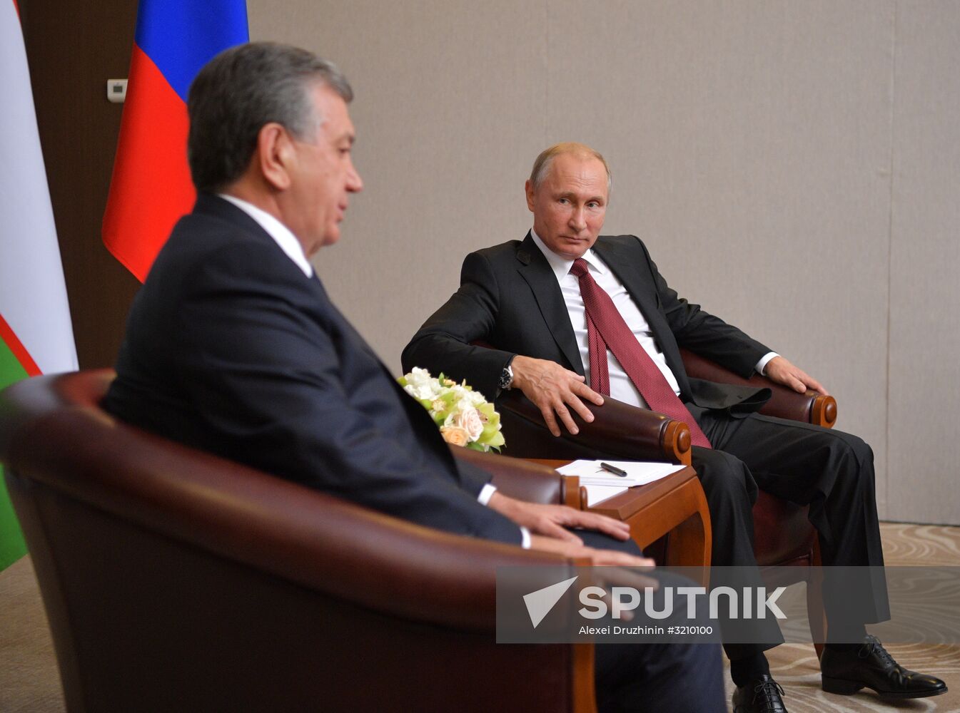 President Vladimir Putin meets with President of Uzbekistan Shavkat Mirziyoyev