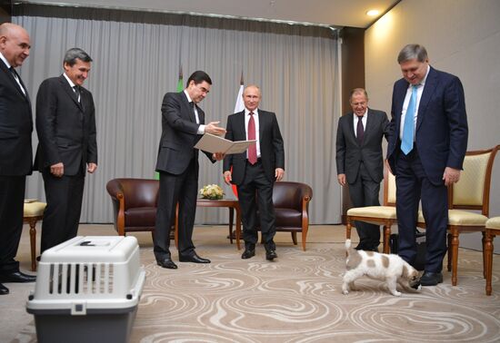 President Vladimir Putin meets with President of Turkmenistan Gurbanguly Berdimuhamedov