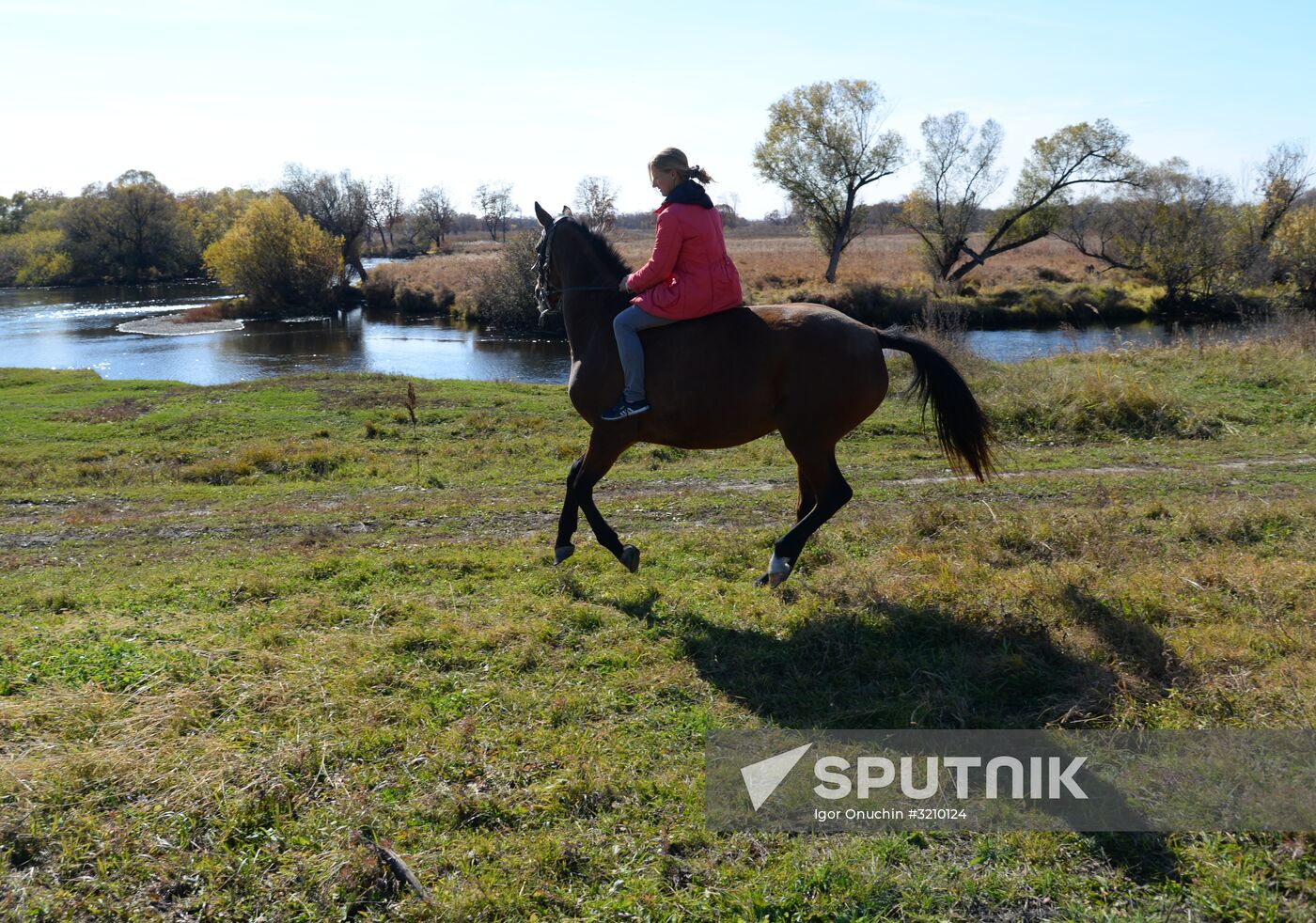 Horse breeding on Far Eastern Hectare land in Khabarovsk Territory