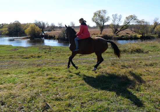 Horse breeding on Far Eastern Hectare land in Khabarovsk Territory