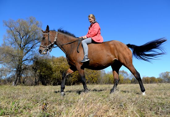 Horse breeding on Far Eastern Hectare land in Khabarovsk Territory