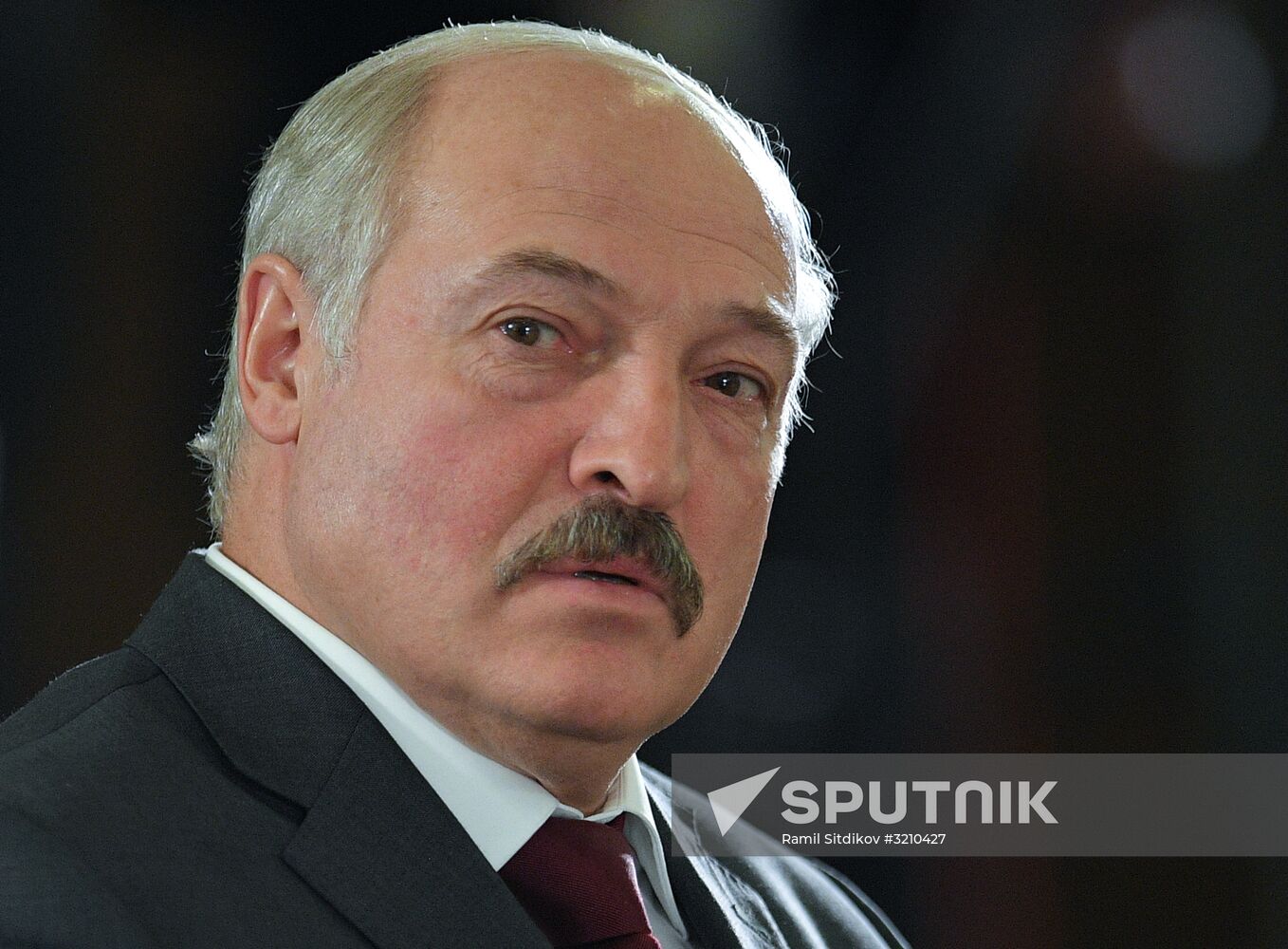 President Vladimir Putin takes part in EAEU summit