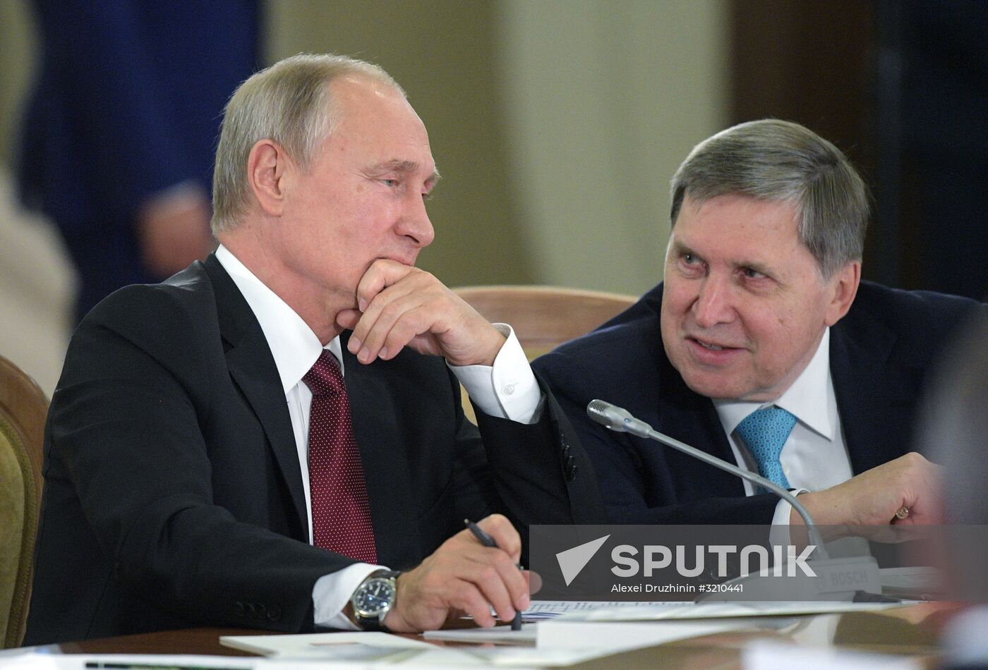 President Vladimir Putin takes part in EAEU summit