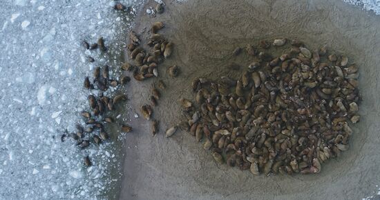 Franz Josef Land Archipelago