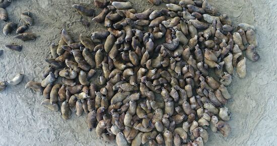 Franz Josef Land archipelago