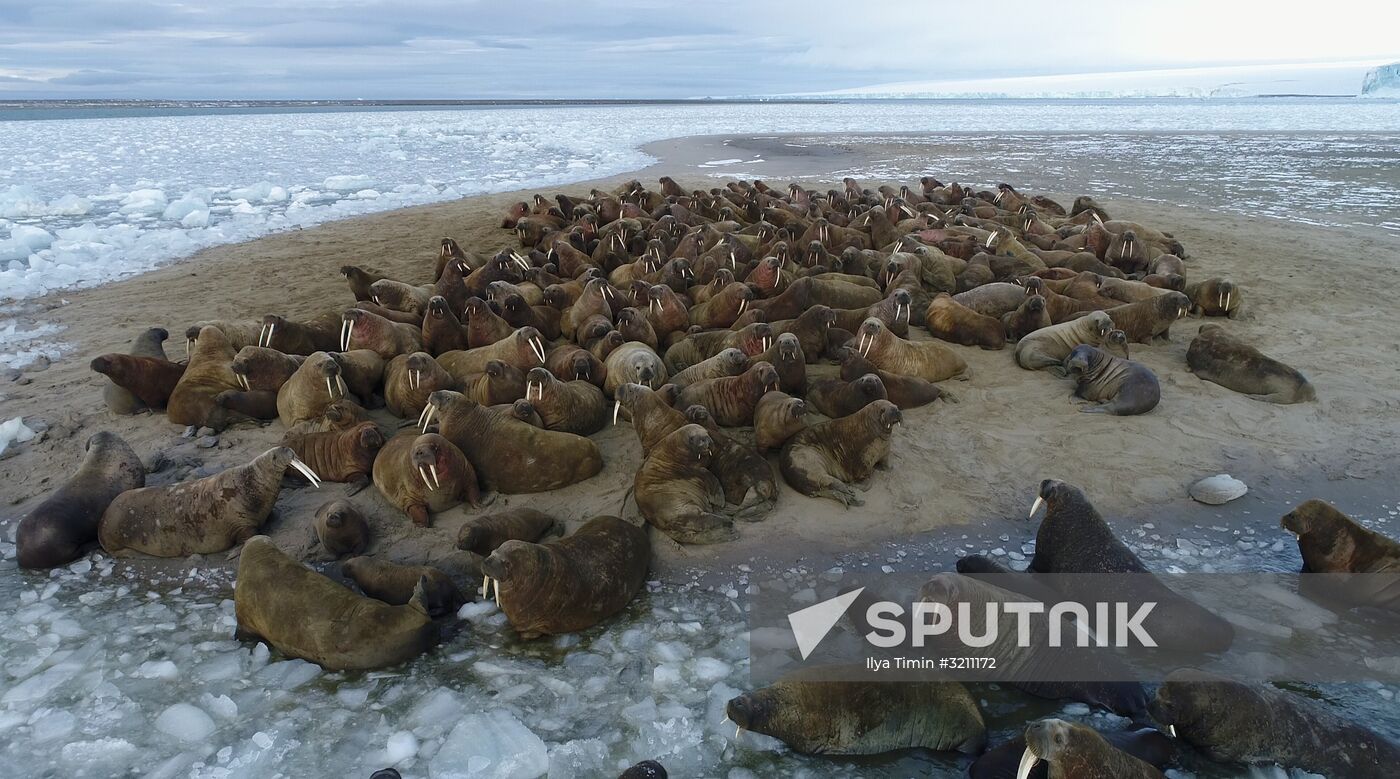 Franz Josef Land archipelago
